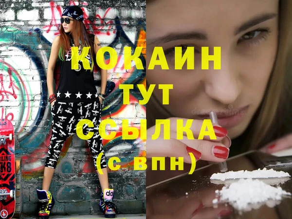 дмт Абаза